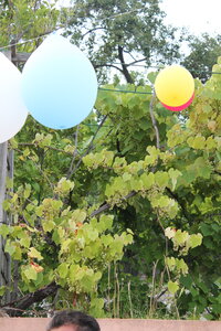 ANNIVERSAIRE LYDIA, ANNIVERSAIRE LYDIA 07 2014 018