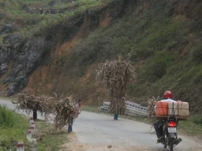 Majestueux Viet Nam (partie 2), P4190501