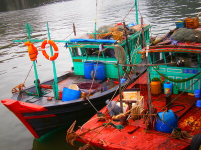 Majestueux Viet Nam (partie 2), P4270609