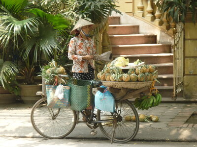 Viet Nam, photos Christine, P1040148