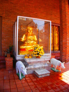 dis moi quel est ton buddha et je te dirais qui tu es, buddha fait du jambon AOC
