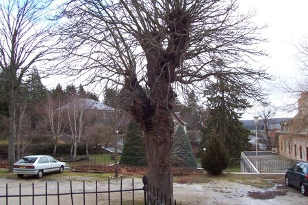 2007 02 Lozère Hôpital Saint Alban, 100_6056