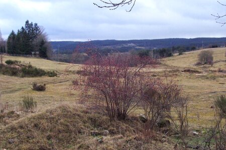 2007 02 Lozère Hôpital Saint Alban, 100_6062