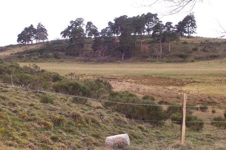 2007 02 Lozère Hôpital Saint Alban, 100_6076