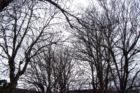 2007 02 Lozère Hôpital Saint Alban, 100_6078