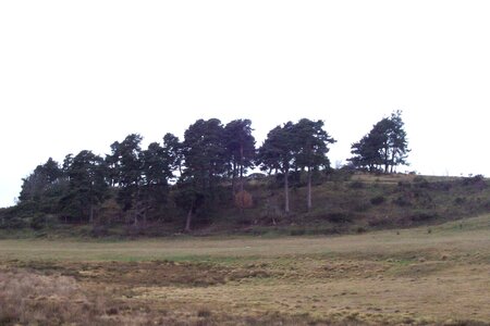 2007 02 Lozère Hôpital Saint Alban, 100_6079