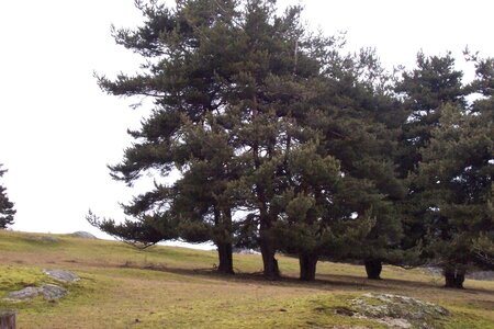 2007 02 Lozère Hôpital Saint Alban, 100_6083