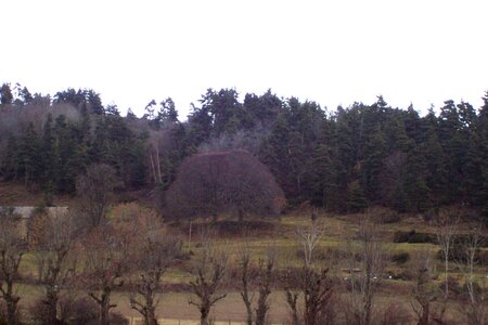 2007 02 Lozère Hôpital Saint Alban, 100_6086