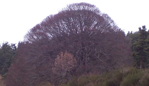 2007 02 Lozère Hôpital Saint Alban, 100_6089