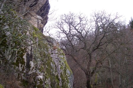 2007 02 Lozère Hôpital Saint Alban, 100_6107