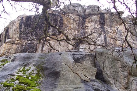 2007 02 Lozère Hôpital Saint Alban, 100_6108