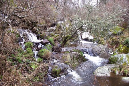 2007 02 Lozère Hôpital Saint Alban, 100_6110