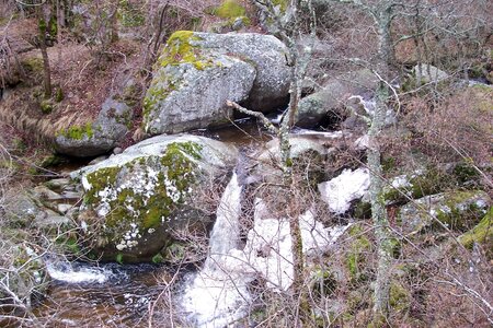 2007 02 Lozère Hôpital Saint Alban, 100_6117