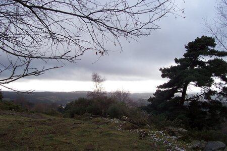 2007 02 Lozère Hôpital Saint Alban, 100_6120