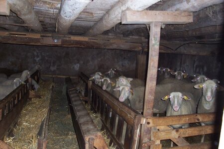 2007 02 Lozère Hôpital Saint Alban, 100_6136