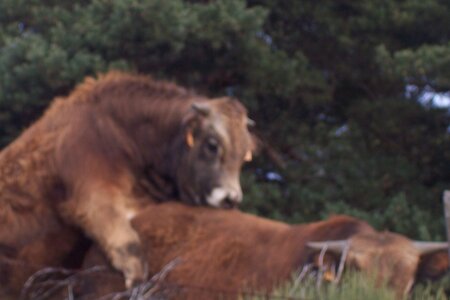 2007 02 Lozère Hôpital Saint Alban, 100_6143