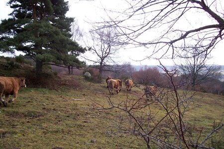2007 02 Lozère Hôpital Saint Alban, 100_6145