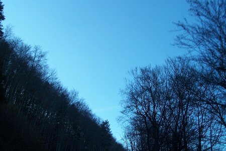 2007 02 Lozère Hôpital Saint Alban, 100_6159