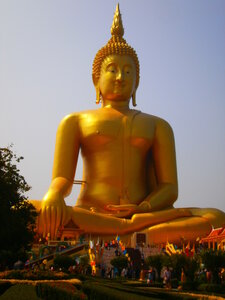 dis moi quel est ton buddha et je te dirais qui tu es, le boudha maxi best of