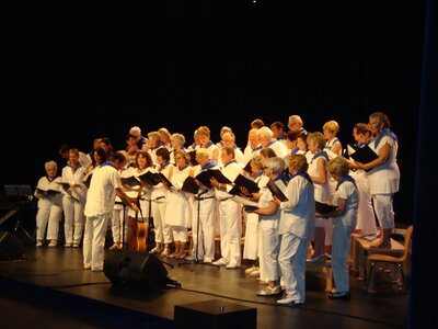Photos du concert de la chorale Choeur dAlbret de Soustons dans le cadre des fêtes 2014 le lundi 04 août, DSC05784