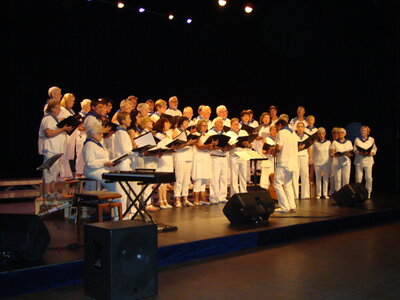 Photos du concert de la chorale Choeur dAlbret de Soustons dans le cadre des fêtes 2014 le lundi 04 août, DSC05785