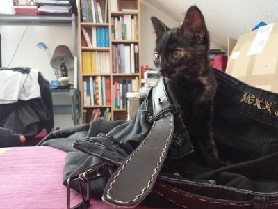 Pixelle, 20140802_144446