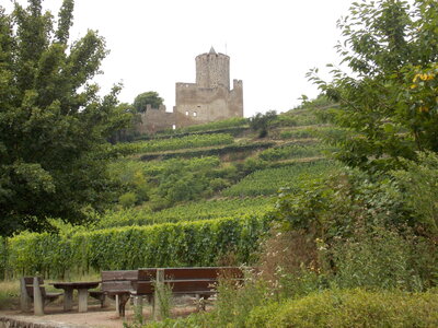 Châteaux de Kaysesberg(68) Et châteaux Ortenbourg et Rammstein (67) pres de Scherwiller) et vue sur le Haut-koenigsbourg ET l'Altmattkopf (pres du Gaschney, DSCN1498