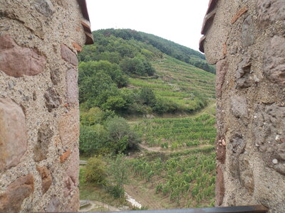 Châteaux de Kaysesberg(68) Et châteaux Ortenbourg et Rammstein (67) pres de Scherwiller) et vue sur le Haut-koenigsbourg ET l'Altmattkopf (pres du Gaschney, DSCN1514