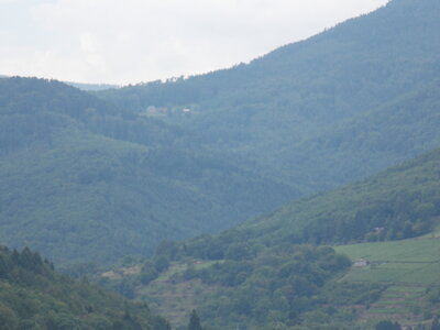 Châteaux de Kaysesberg(68) Et châteaux Ortenbourg et Rammstein (67) pres de Scherwiller) et vue sur le Haut-koenigsbourg ET l'Altmattkopf (pres du Gaschney, DSCN1518