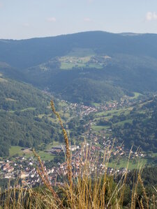 Châteaux de Kaysesberg(68) Et châteaux Ortenbourg et Rammstein (67) pres de Scherwiller) et vue sur le Haut-koenigsbourg ET l'Altmattkopf (pres du Gaschney, DSCN1549