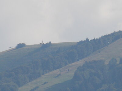 Châteaux de Kaysesberg(68) Et châteaux Ortenbourg et Rammstein (67) pres de Scherwiller) et vue sur le Haut-koenigsbourg ET l'Altmattkopf (pres du Gaschney, DSCN1551