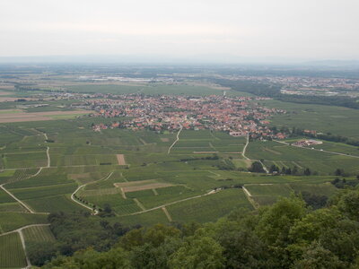 Châteaux de Kaysesberg(68) Et châteaux Ortenbourg et Rammstein (67) pres de Scherwiller) et vue sur le Haut-koenigsbourg ET l'Altmattkopf (pres du Gaschney, DSCN1575