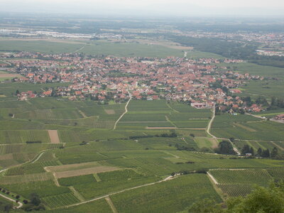Châteaux de Kaysesberg(68) Et châteaux Ortenbourg et Rammstein (67) pres de Scherwiller) et vue sur le Haut-koenigsbourg ET l'Altmattkopf (pres du Gaschney, DSCN1576