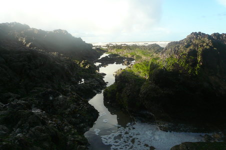 album 2, P1120179