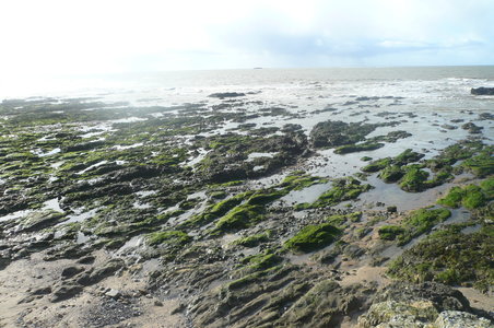 album 2, P1120183