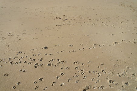 album 2, P1120196
