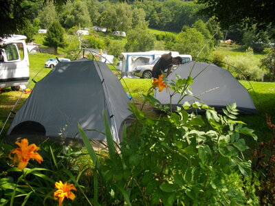 CIRCUIT DU ROUX ET DE COMBELOUP, Installation du camp parmi les lys orangés, au Buisson près de Saint-Martin-d'Uriage