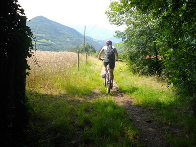 CIRCUIT DU ROUX ET DE COMBELOUP, Arrivée au Chavanoz