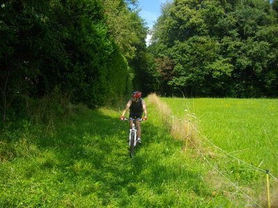 CIRCUIT DU ROUX ET DE COMBELOUP, Près des Vignasses