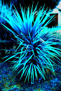 alb 5, www.kizoa.com_007
