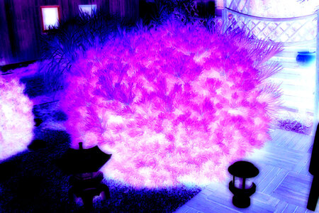 alb 5, www.kizoa.com_011