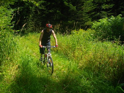 CIRCUIT DES MARAIS DE SEIGLIERES, Descente vers le Bit