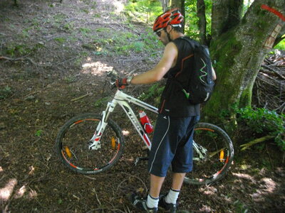 CIRCUIT DES MARAIS DE SEIGLIERES, Peu avant la table d'orientation