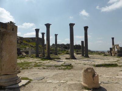 Voyage de l'UTL Marennes Oléron en Jordanie et Jérusalem, Um Qais -  Basilique