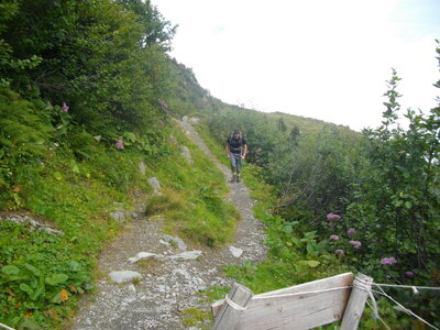 POINTE DE LA SITRE, Mont Saint-Mury