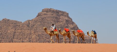 Voyage de l'UTL Marennes Oléron en Jordanie et Jérusalem, Wadi Rum -  caravane