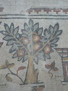 Voyage de l'UTL Marennes Oléron en Jordanie et Jérusalem,  Madaba - Fresque