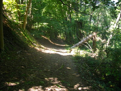 CIRCUIT D' HERBEYS 17/08/2014 : Randonnée VTT (Contreforts de Belledonne) : 20 km, 2 h 54 à 6.8 km/h de moyenne, 678 m dedénivellation positive cumulée, parcours assez difficile. Météo : beau temps. Participant : Marcel, Descente vers les Civières