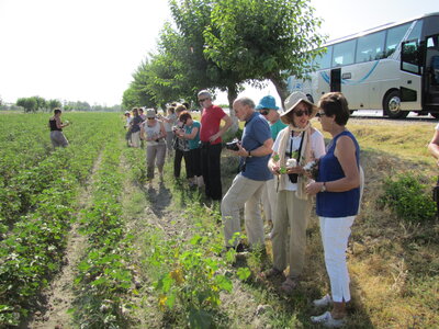 Ouzbekistan-2014, IMG_5212