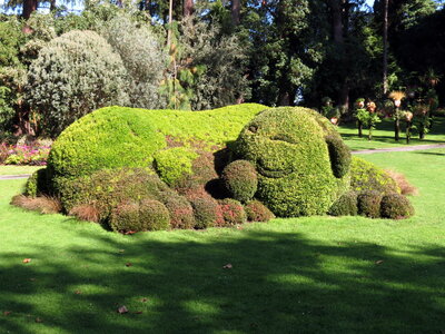 Voyage à Nantes Jardin des Plantes 2014, IMG_3455